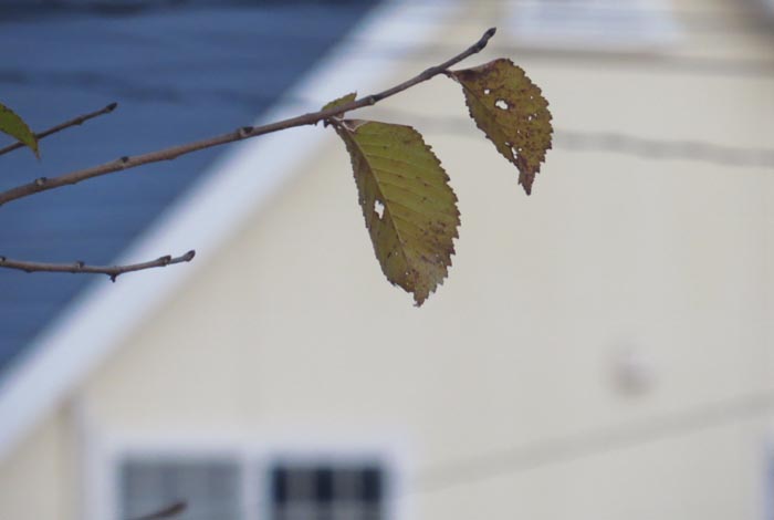 webnews今朝の北海道北見