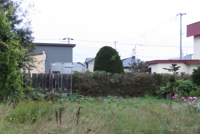 webnews今朝の北見