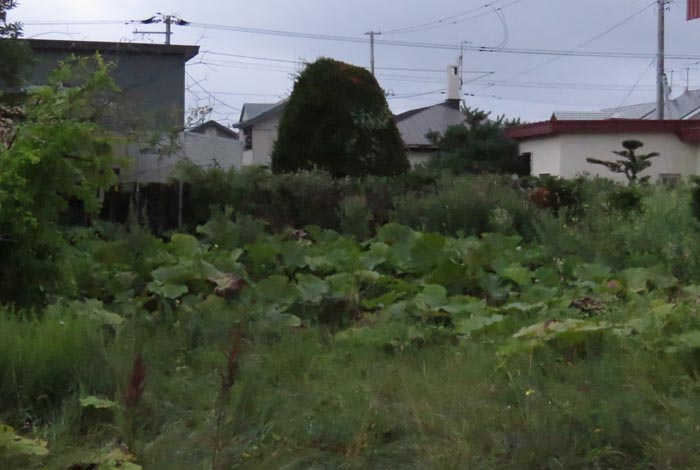 webnews今朝の北見