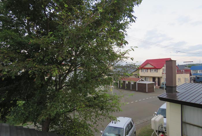 webnews�����̖k���^���̋�