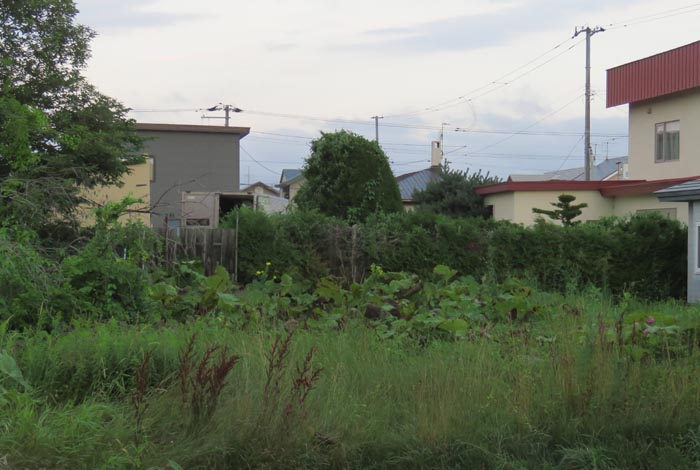 webnews�����̖k��