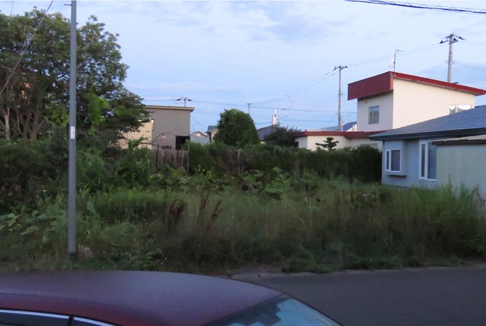 webnews�����̖k��