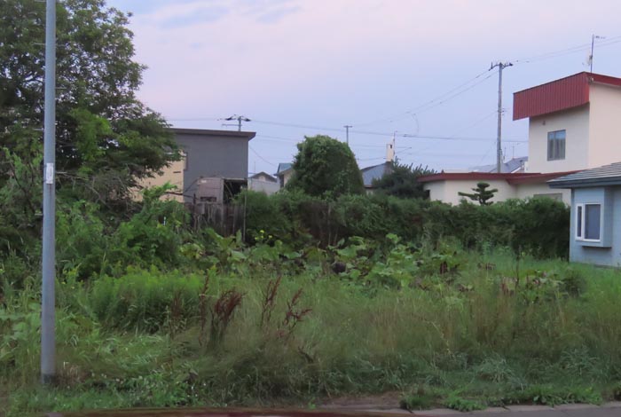 webnews�����̖k��