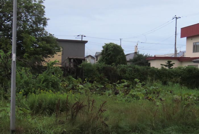 webnews�����̖k��