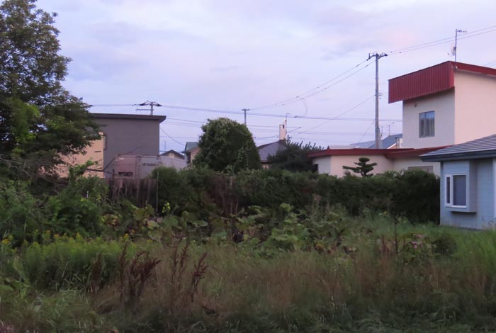 webnews�����̖k��