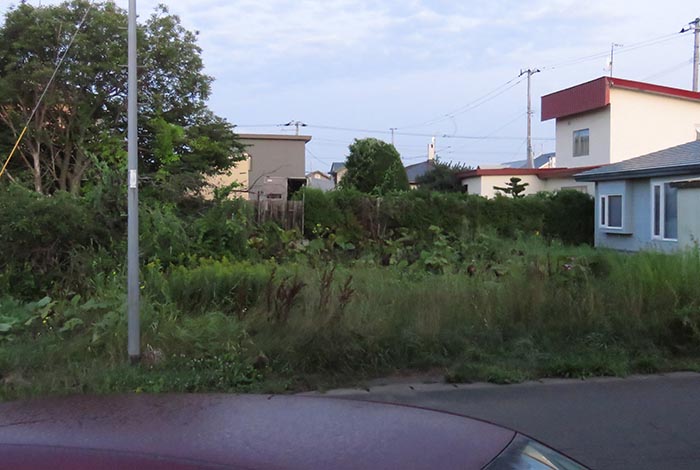 webnews�����̖k��