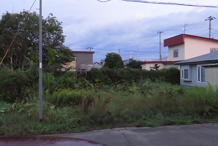 webnews�����̖k��