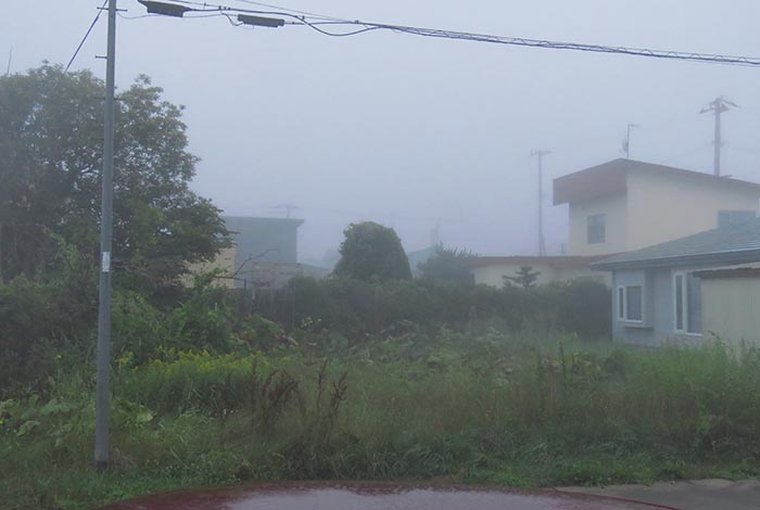 webnews�����̖k��