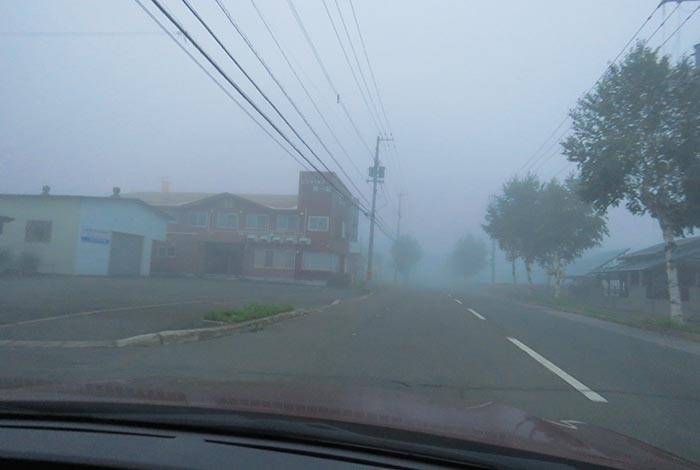 webnews�����̖k���^�r�W�l�X���ٛ����O