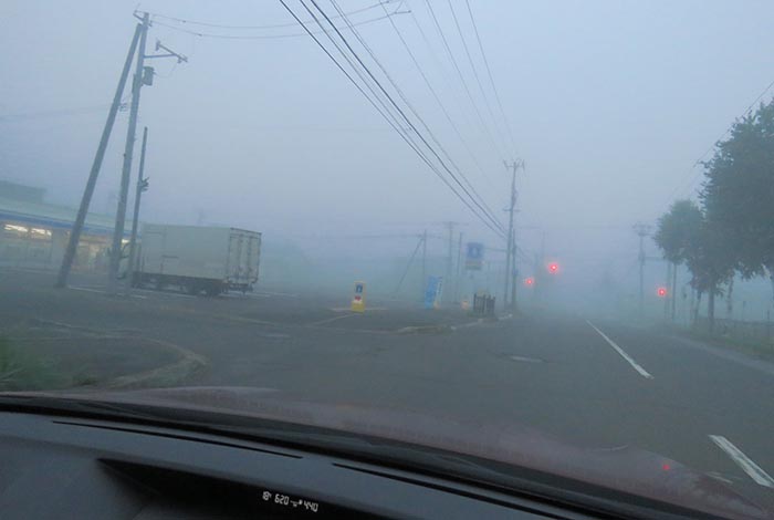 webnews�����̖k���^��ݒʂ�A���T���������_