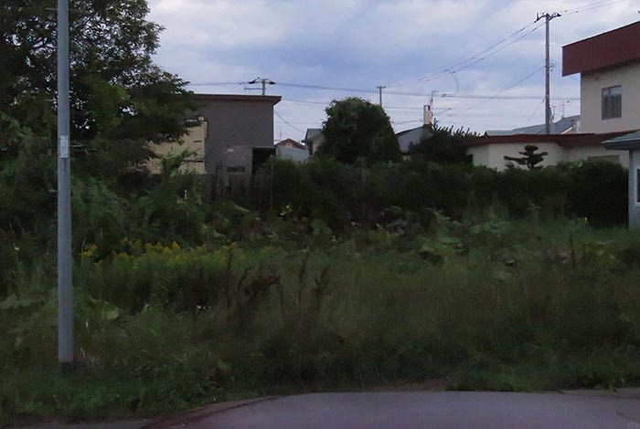 webnews�����̖k��