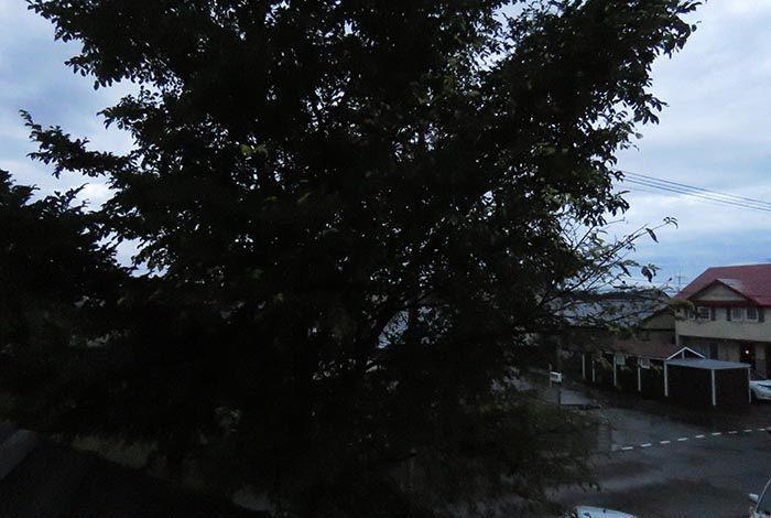 webnews�����̖k���^���̋�