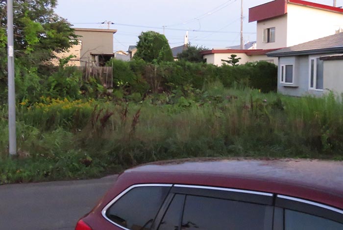 webnews�����̖k��