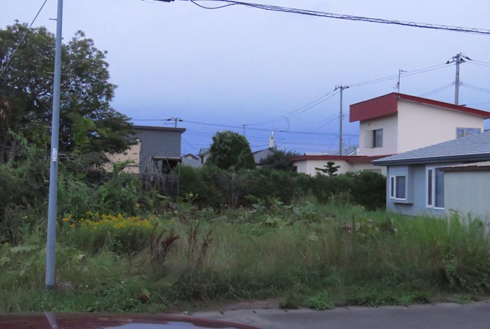 webnews�����̖k��