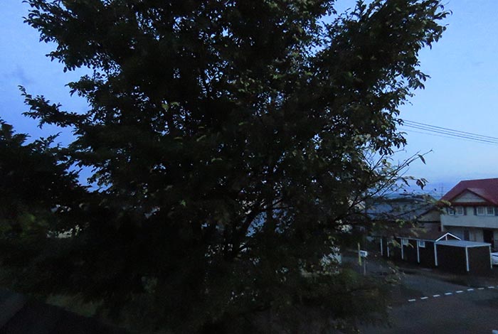 webnews�����̖k���^���̋�