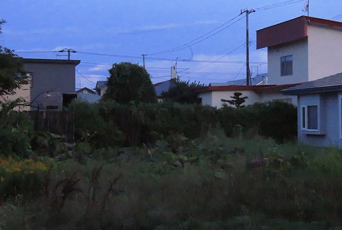 webnews�����̖k��