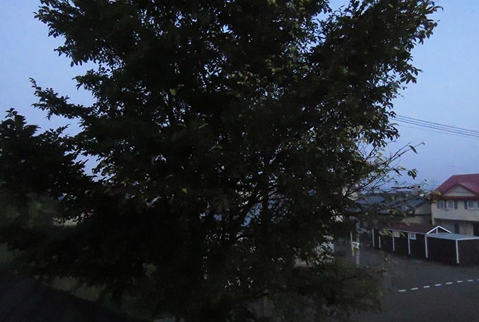 webnews�����̖k���^���̋�