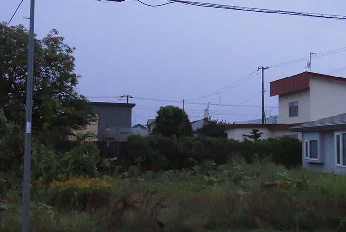 webnews�����̖k��