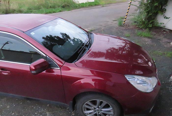 webnews�����̖k��