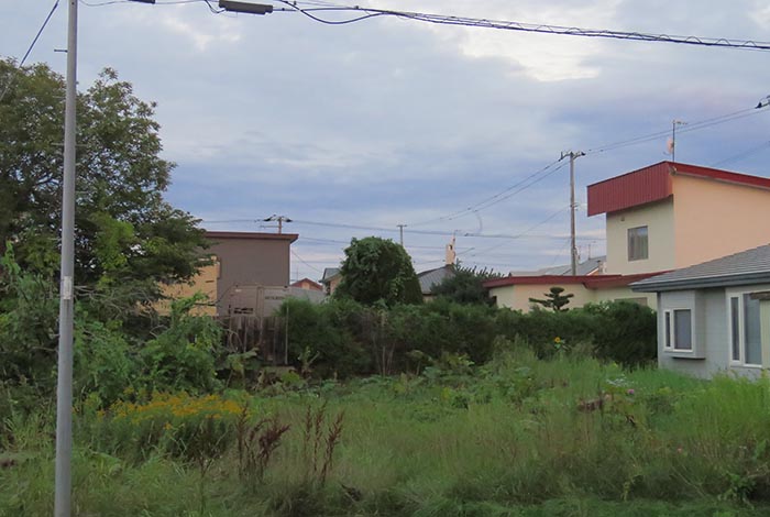 webnews�����̖k��