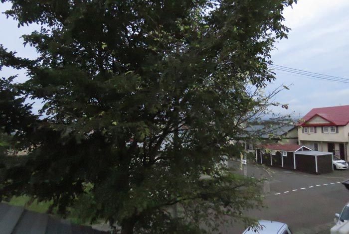 webnews�����̖k���^���̋�