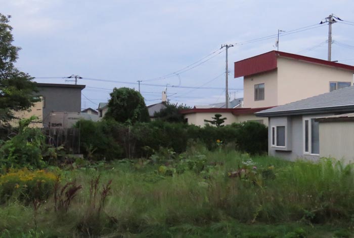 webnews�����̖k��