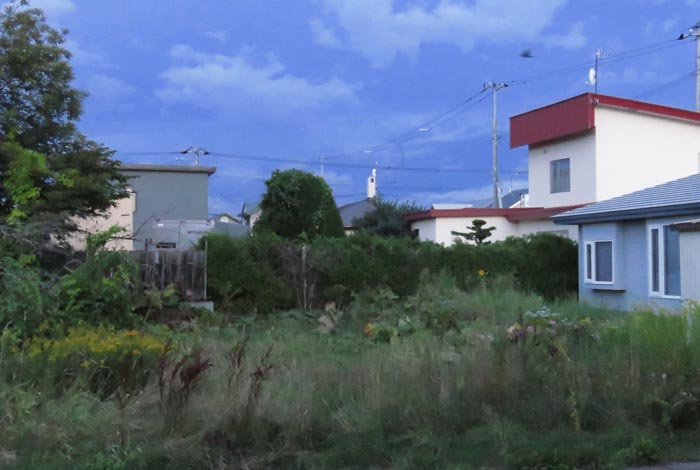 webnews�����̖k��