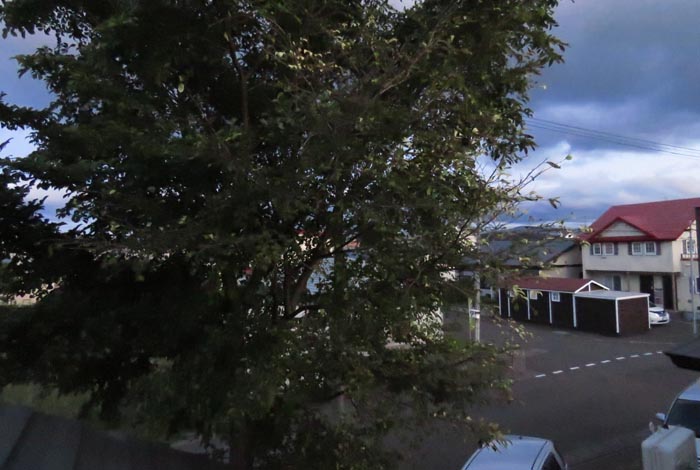 webnews�����̖k���^���̋�