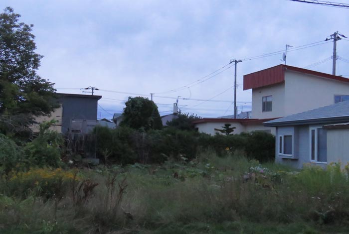 webnews�����̖k��