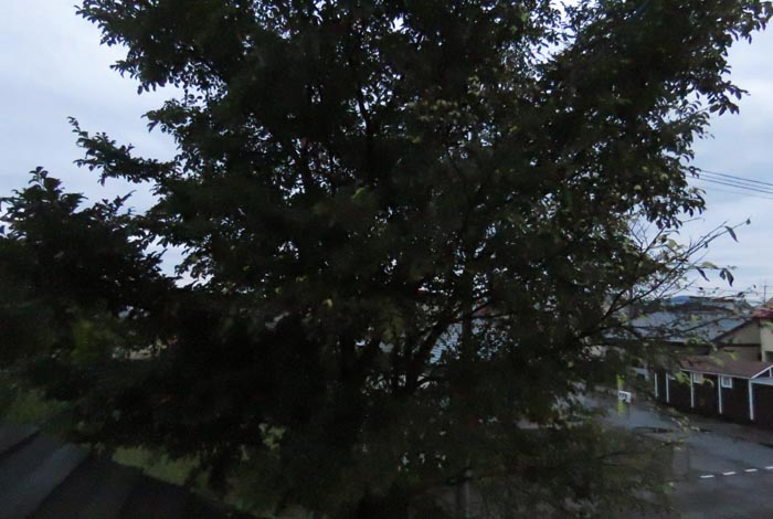 webnews�����̖k���^���̋�