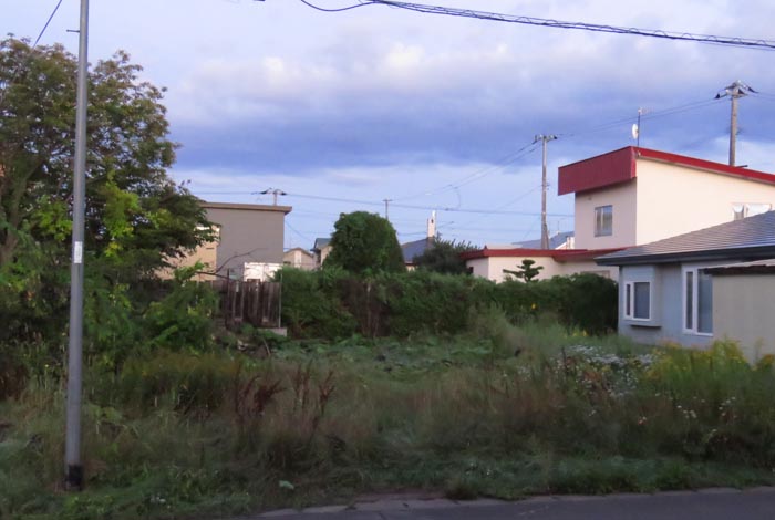 webnews�����̖k��