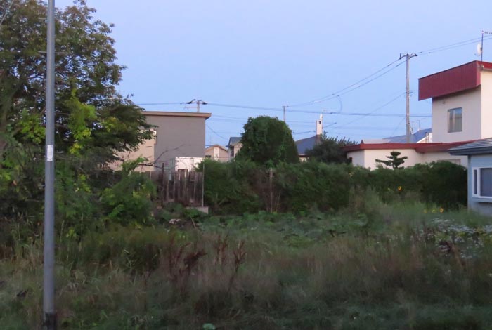 webnews�����̖k��