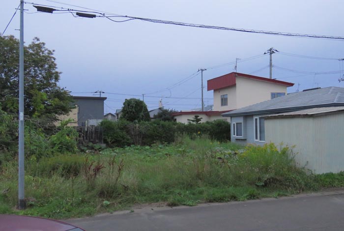 webnews�����̖k��