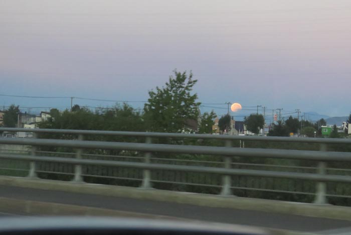 webnews�����̖k���^�m���R����ɂ͊J���ǂ̖������p�{�݂�����