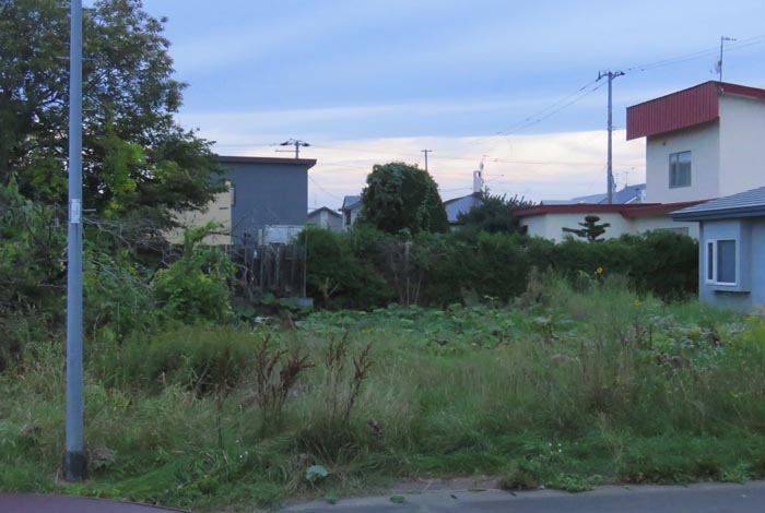 webnews�����̖k��