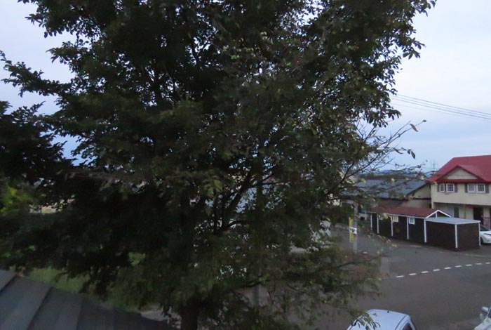 webnews�����̖k���^���̋�