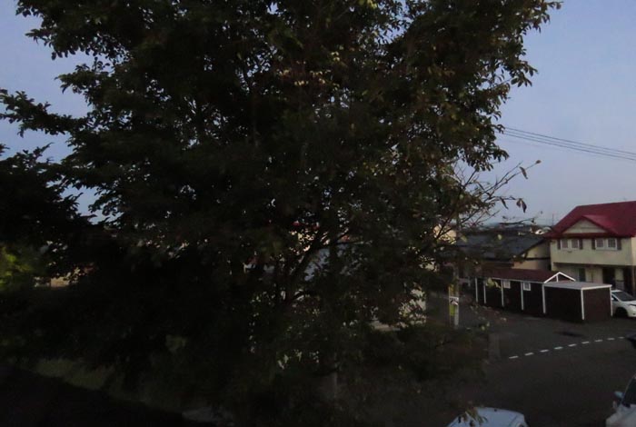 webnews�����̖k���^���̋�