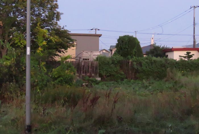 webnews�����̖k��