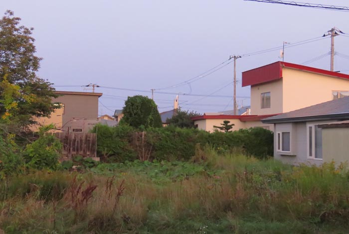 webnews�����̖k��