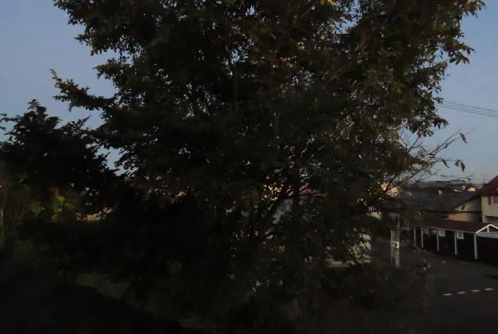 webnews�����̖k���^���̋�