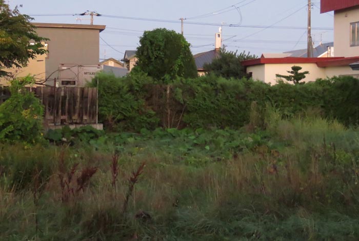 webnews�����̖k��