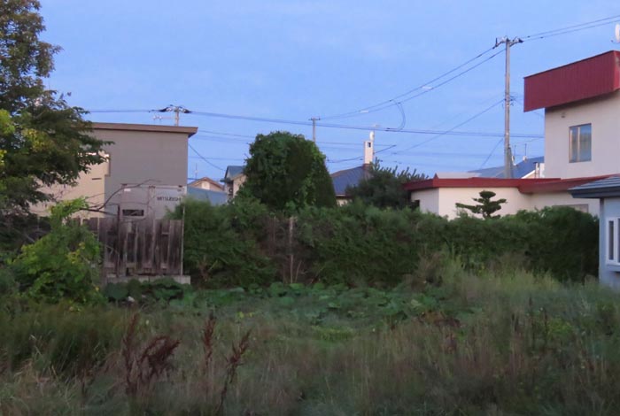 webnews�����̖k��