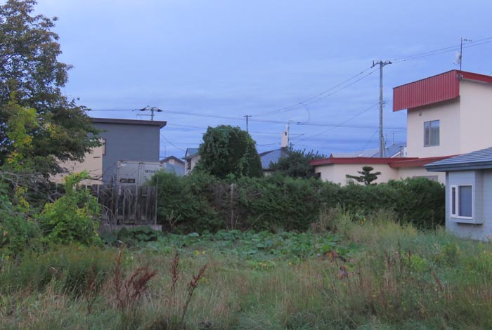 webnews�����̖k��