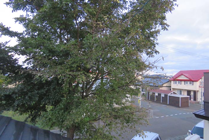 webnews�����̖k���^���̋�