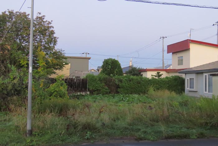 webnews�����̖k��