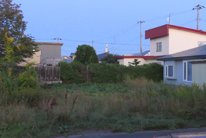 webnews�����̖k��