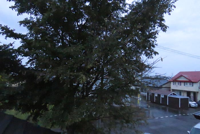 webnews�����̖k���^���̋�