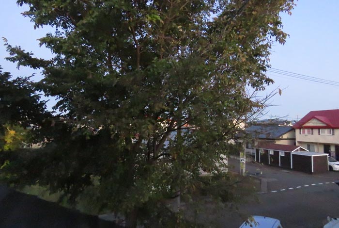 webnews�����̖k���^���̋�