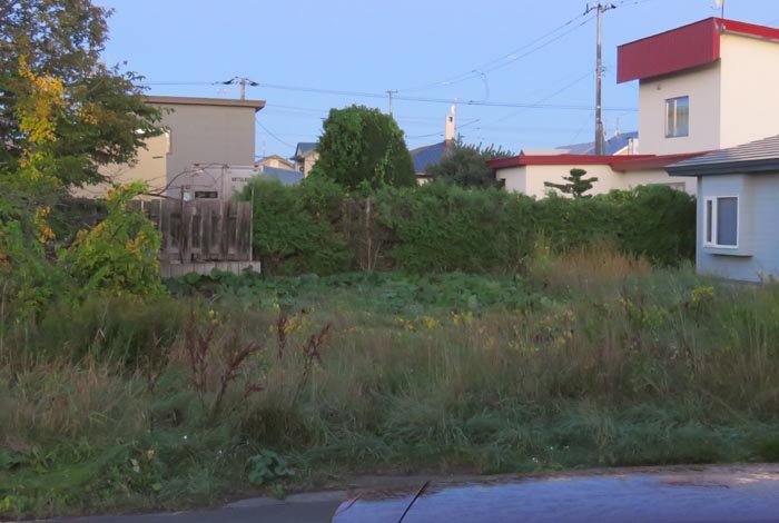 webnews�����̖k��