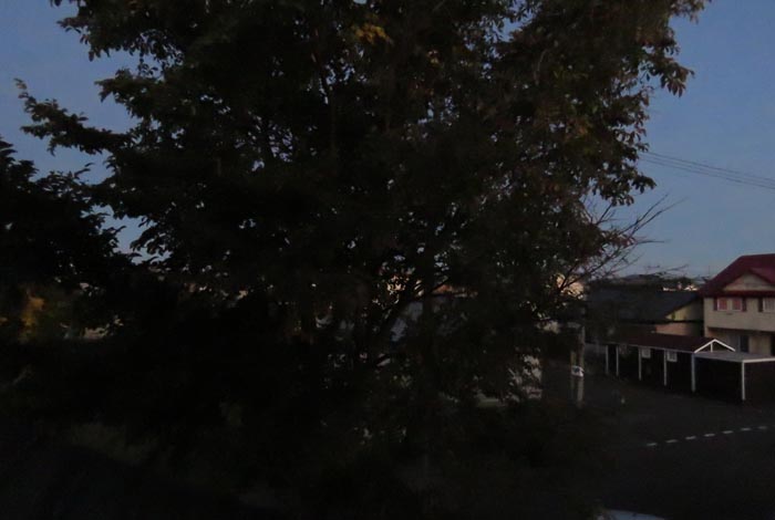 webnews�����̖k���^���̋�